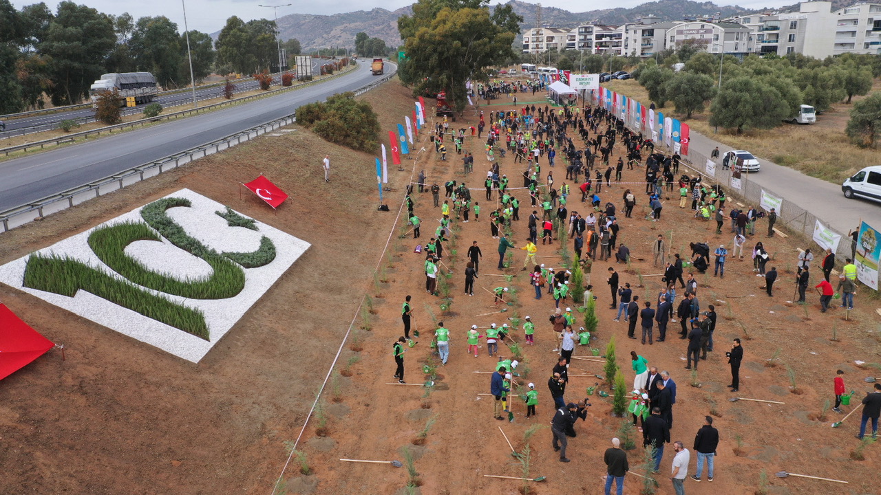 Milli A A Land Rma G N Kapsam Nda Y L Cumhuriyet Orman Nda Fidan